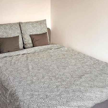 Nancy Centre Gare Appartement Renove 3 Chambres Экстерьер фото